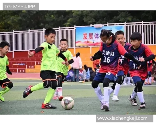 舞动青春与足球激情交融的明星之路探秘